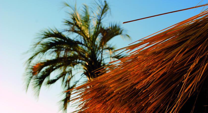 Tio Tom Villa Punta del Este Oda fotoğraf